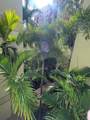 780 Sapodilla Avenue - Photo 20