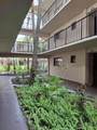 5220 Las Verdes Circle - Photo 41