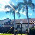 5070 Nesting Way - Photo 2