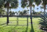 9309 Pepoli Way - Photo 48