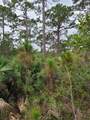 5375 69th Street - Photo 2