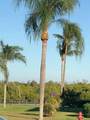 800 Horizons 211 - Photo 31