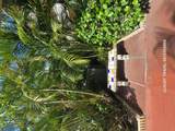 2615 Garden Drive - Photo 52