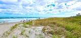 4101 Ocean Boulevard - Photo 31