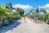 6747 Carol Street - Photo 1