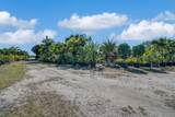 6747 Carol Street - Photo 10