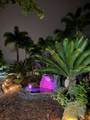 3871 Via Poinciana - Photo 20
