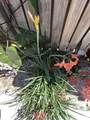 1518 15th Court - Photo 26