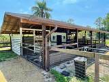 16605 115th Avenue - Photo 46