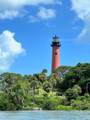 6238 Dania Street - Photo 42