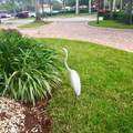 7415 Mercada Way - Photo 37