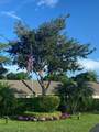 12106 Country Greens Boulevard - Photo 23
