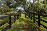 2088 Appaloosa Trail - Photo 23