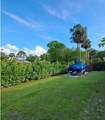 1206 Royal Palm Boulevard - Photo 41