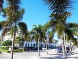 520 Calamondin Way - Photo 100