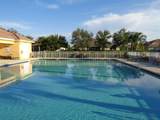 520 Calamondin Way - Photo 43