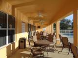 520 Calamondin Way - Photo 50