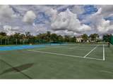 520 Calamondin Way - Photo 77