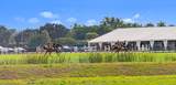 14983 Draft Horse Lane - Photo 50