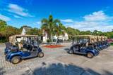 1610 Shelburnie Way - Photo 47