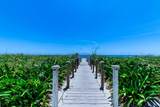 2780 Ocean Boulevard - Photo 17