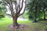 7981 Shaddock Drive - Photo 19