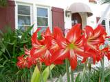 226 1st Avenue - Photo 40