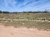 Lot 30 Fazzini Road - Photo 4