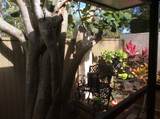 241 Pleasant Wood Drive - Photo 15