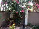 241 Pleasant Wood Drive - Photo 2
