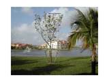 4280 San Marino Boulevard - Photo 4
