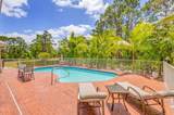 3202 Holly Lane - Photo 50