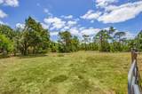 3202 Holly Lane - Photo 61