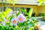 310 18th Street - Photo 77