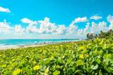 2784 Ocean Boulevard - Photo 32