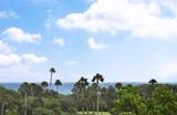 4750 Ocean Boulevard - Photo 8