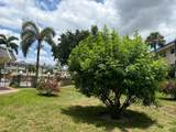 4441 16th Street - Photo 45