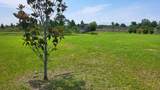 16159 258th Street - Photo 13