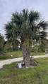 15270 252nd Street - Photo 36