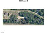 6929 Deer Point - Photo 2