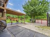 32801 Us Highway 441 - Photo 79