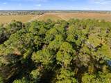 10649 Lighter Wood Lane - Photo 7
