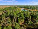 10649 Lighter Wood Lane - Photo 8