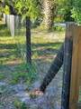 20537 286th Street - Photo 4