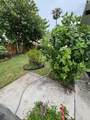 729 Kalmia Drive - Photo 19
