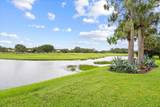 9926 Nuova Way - Photo 51