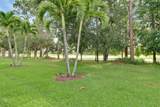 10479 Visconti Way - Photo 50
