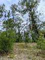 2450 Rutland Drive - Photo 2