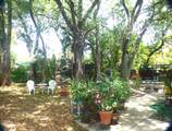 431 132nd Street - Photo 4