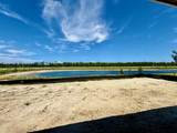 10231 Highpointe Drive - Photo 5